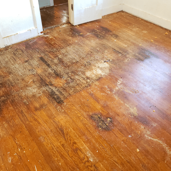 Mold damage and warped flooring from delayed plumbing repair